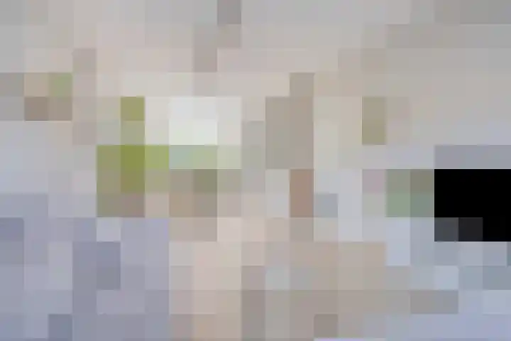 Lepelaarstraat 59 Heerenveen thumbnail 7