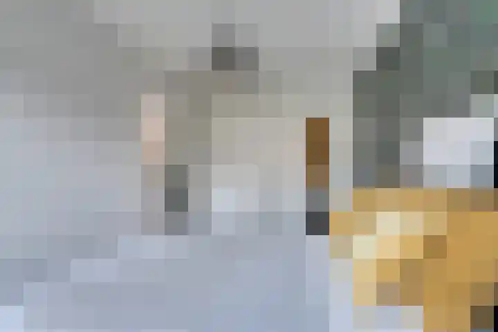 Lepelaarstraat 6 Ilpendam thumbnail 25