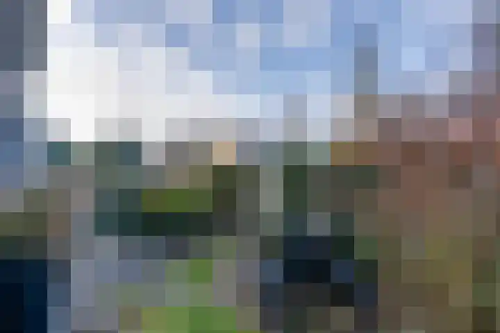 Lepelaarstraat 6 Ilpendam thumbnail 33