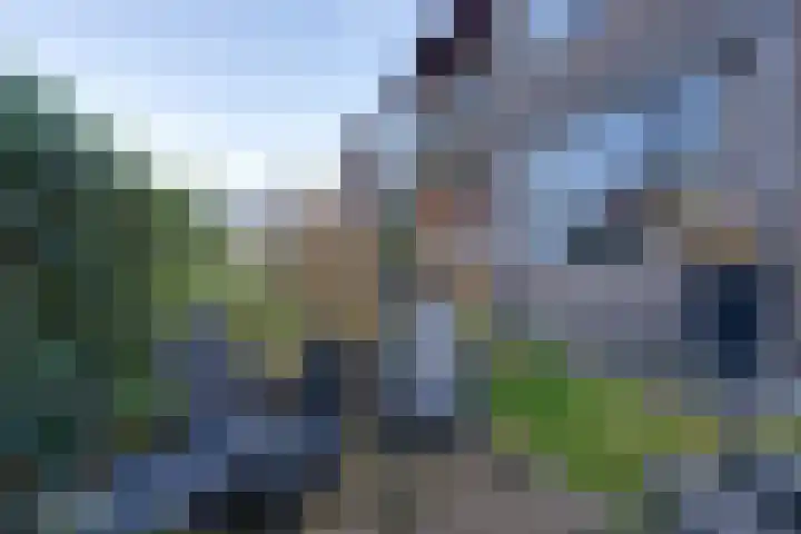 Lepelaarstraat 6 Ilpendam thumbnail 34