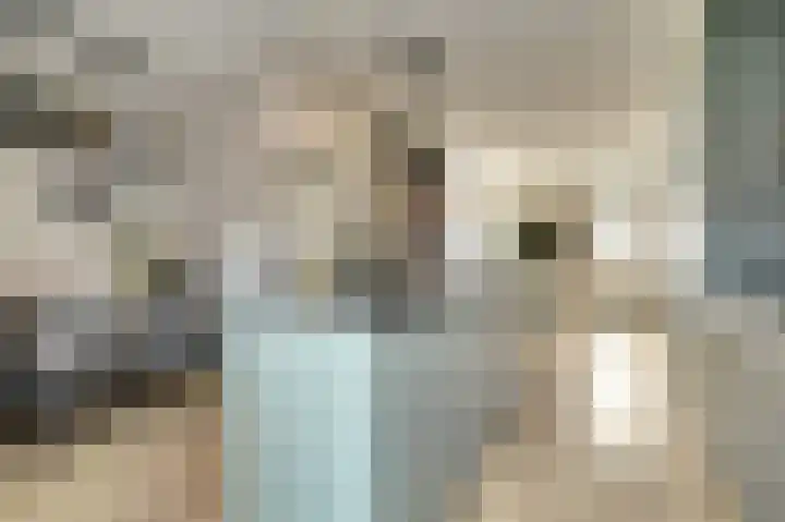 Lepelaarstraat 79 Rozenburg thumbnail 4