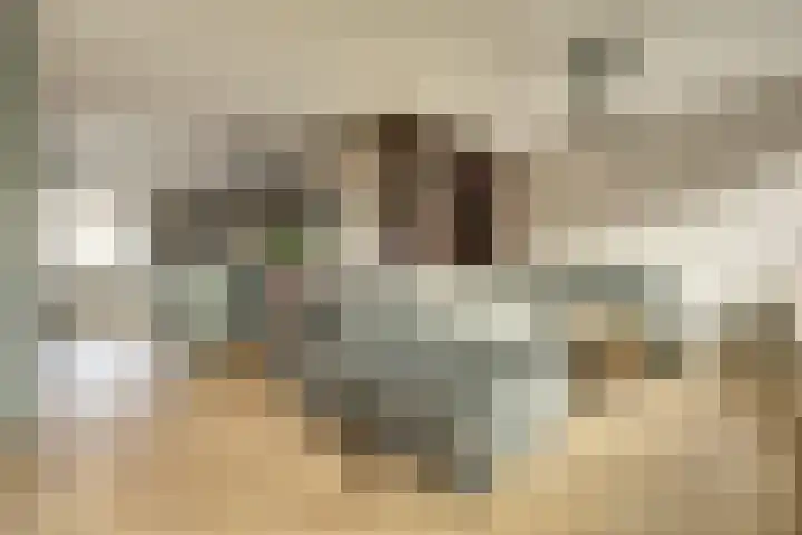 Lepelaarstraat 79 Rozenburg thumbnail 6