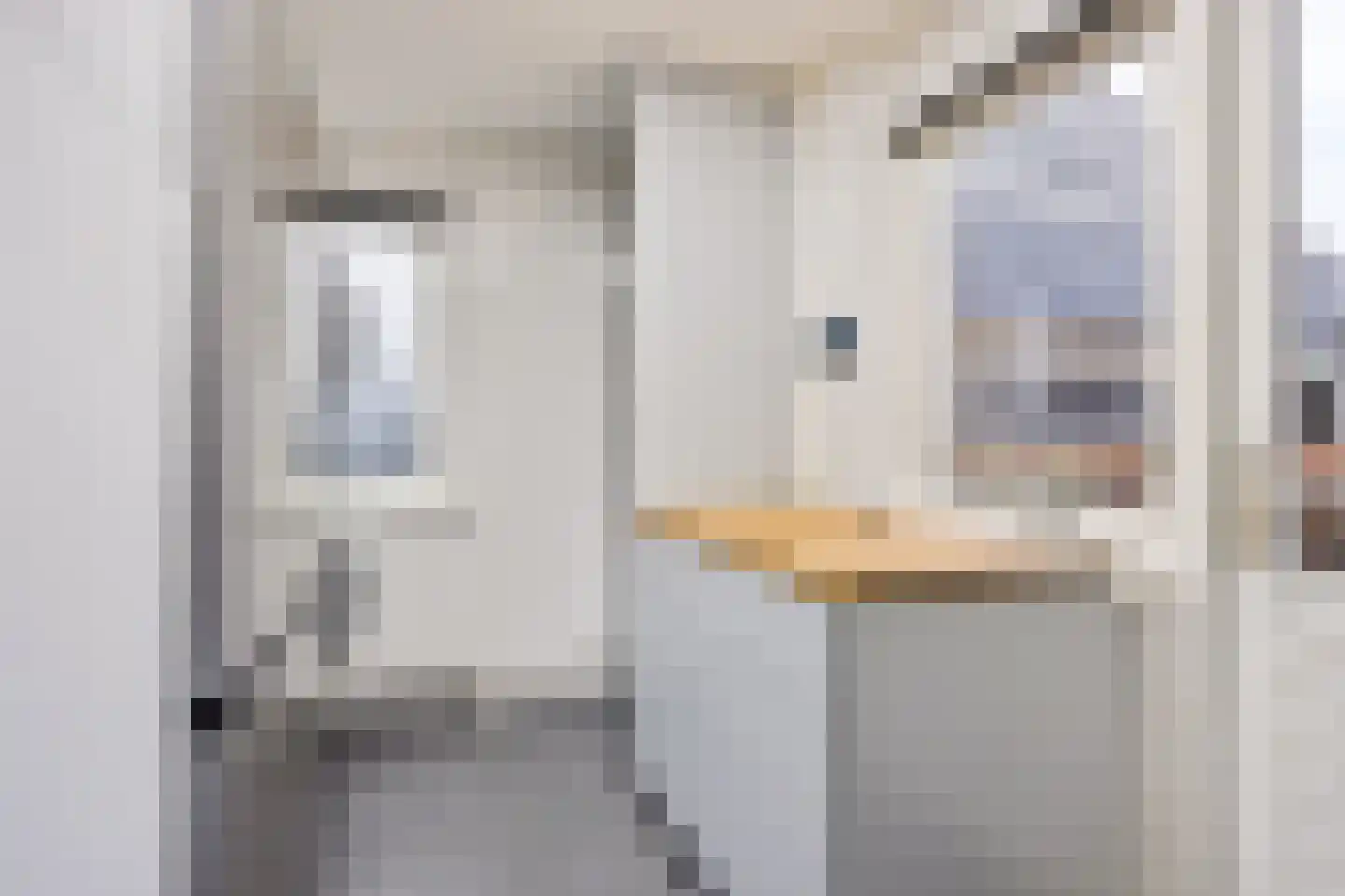 Lepelaarstraat 8 't Zand thumbnail 11