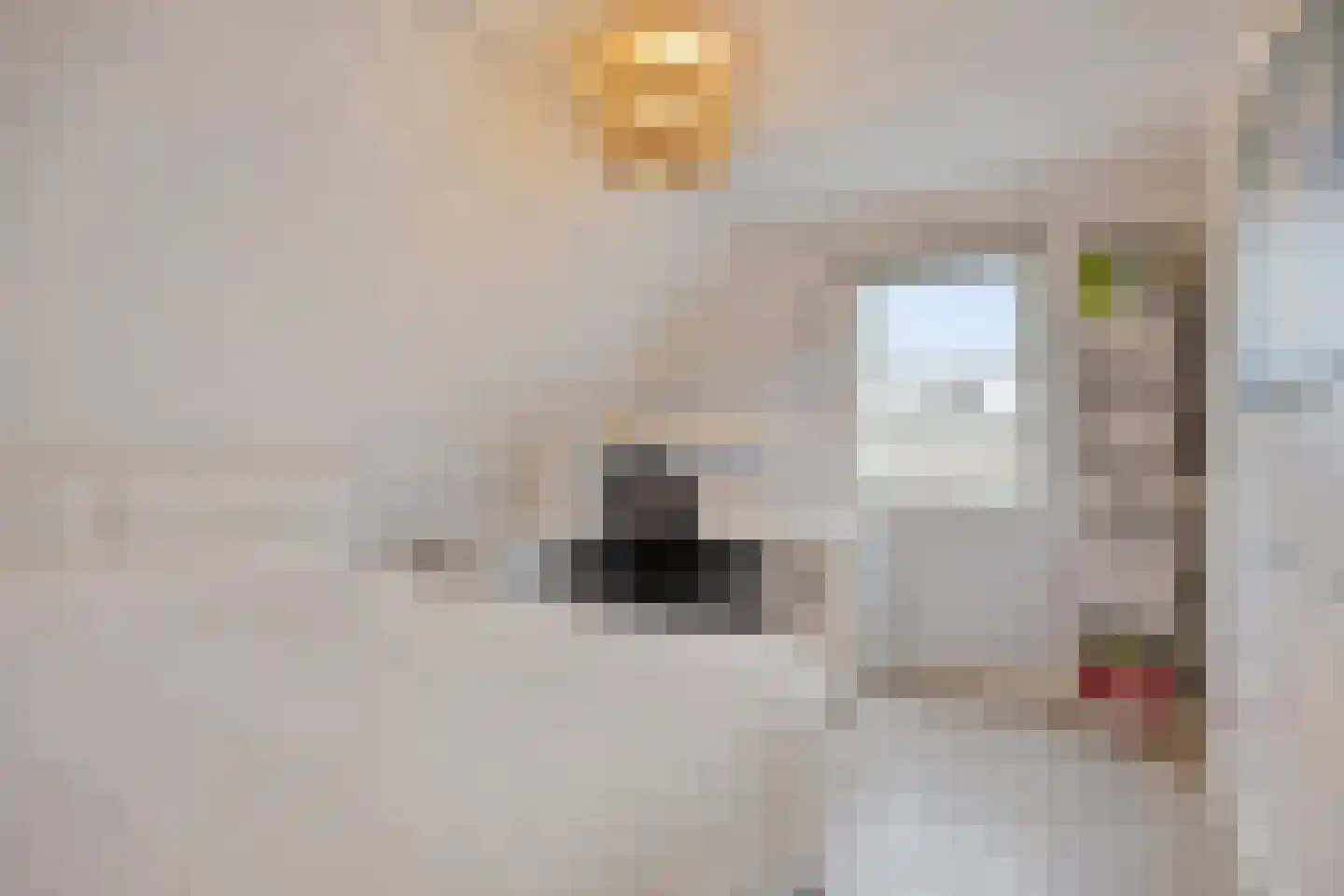 Lepelaarstraat 8 't Zand thumbnail 16