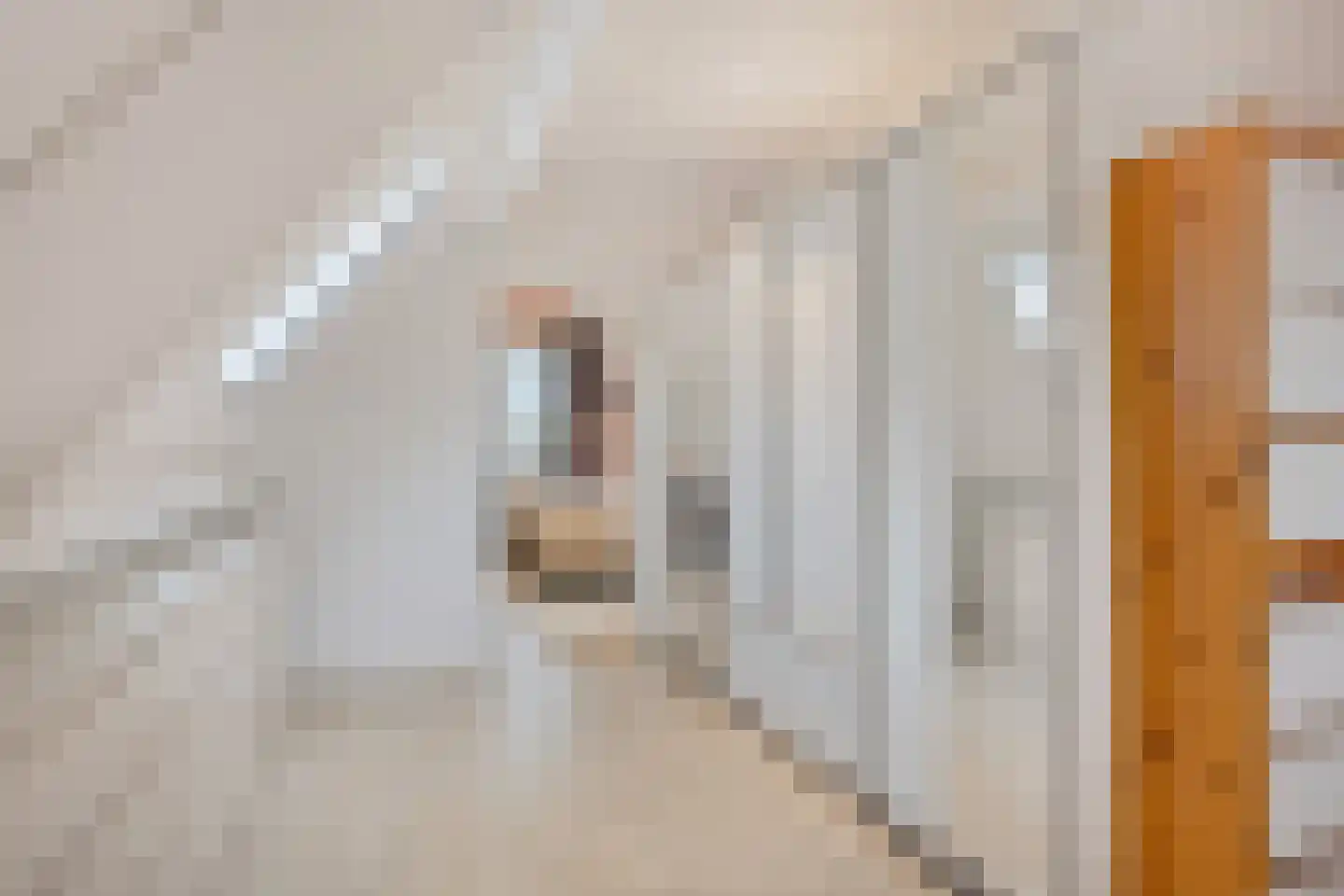 Lepelaarstraat 8 't Zand thumbnail 24