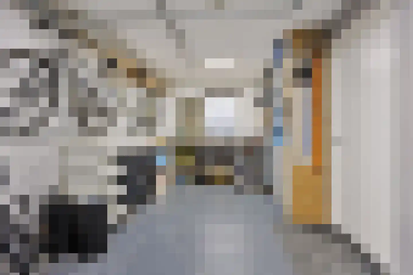Lepelaarstraat 8 't Zand thumbnail 27