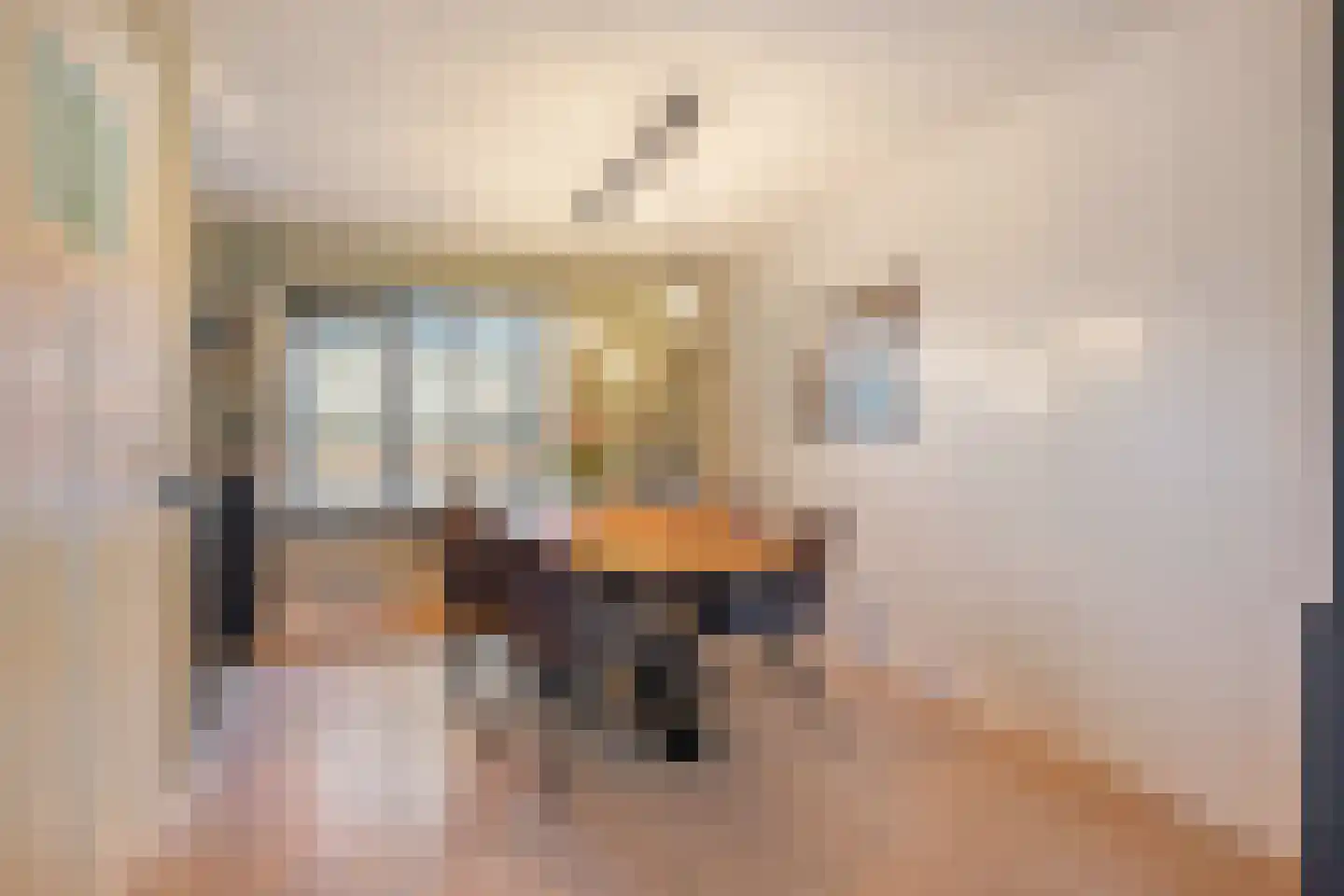 Lepelaarstraat 8 't Zand thumbnail 7
