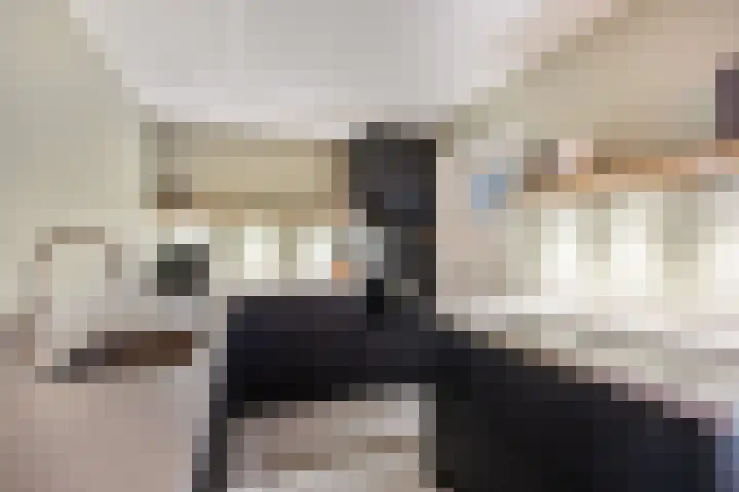 Lepelaarstraat 8 't Zand thumbnail 9