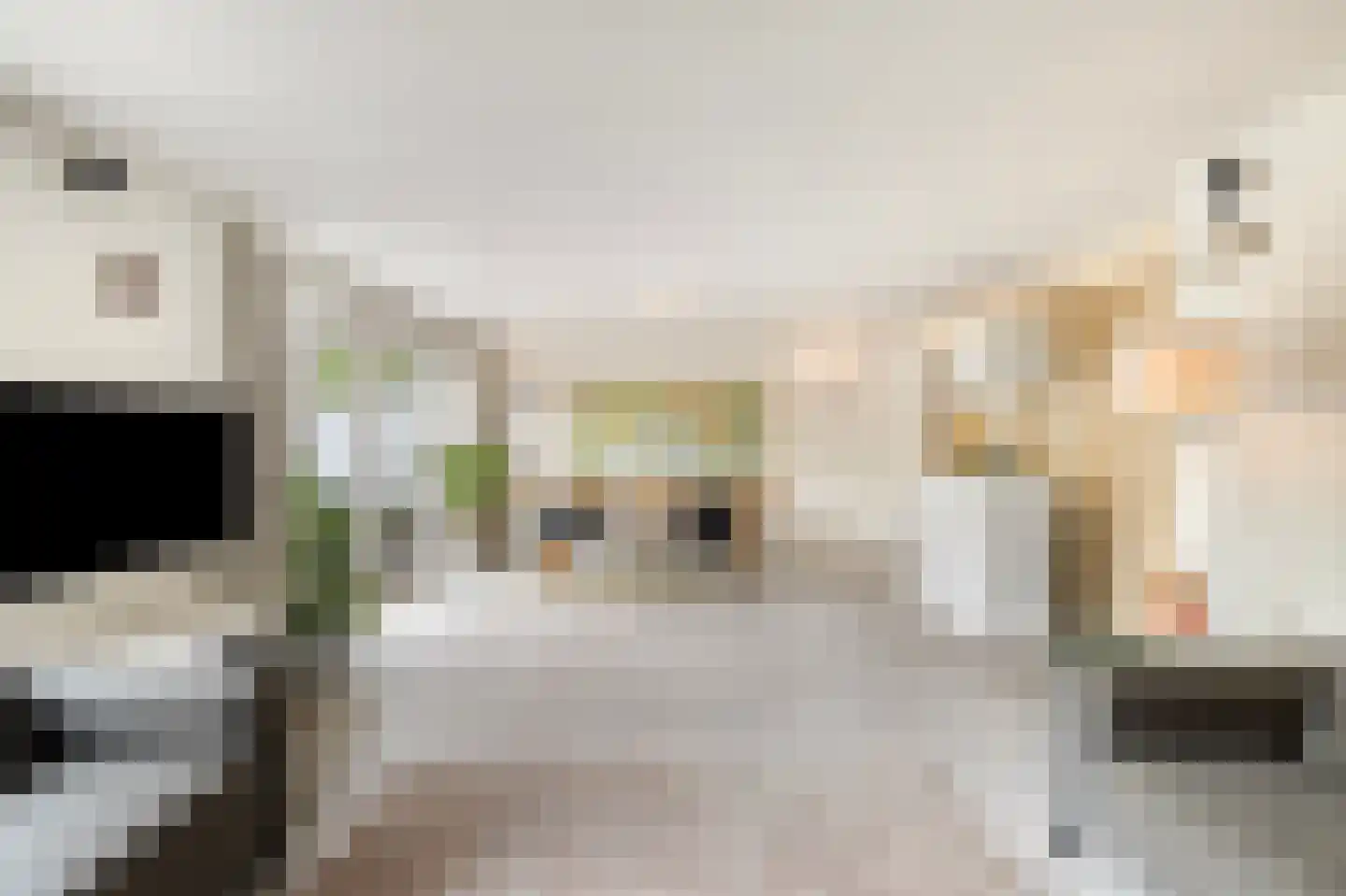 Lepelaarstraat 9 Alkmaar thumbnail 16
