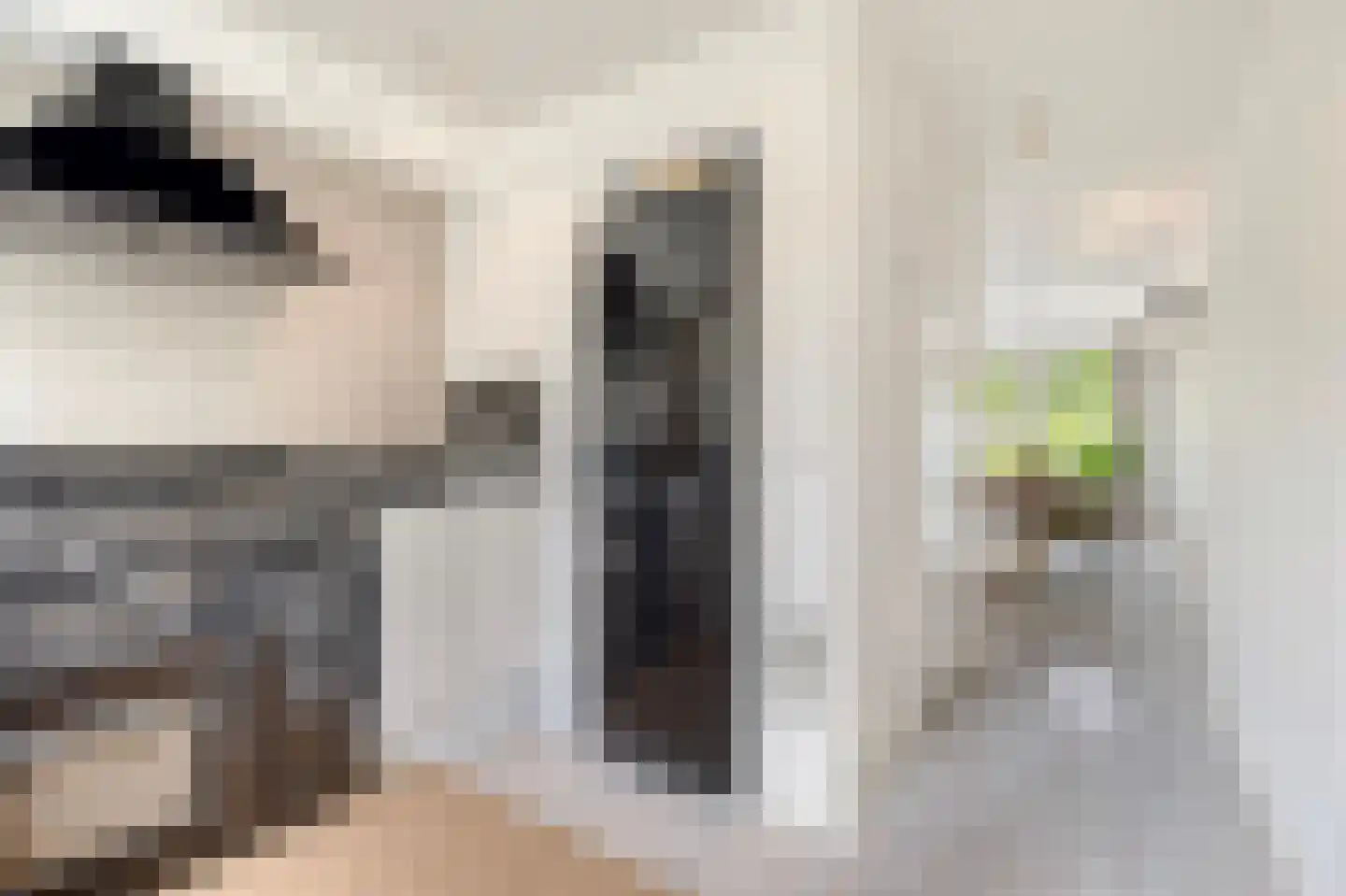 Lepelaarstraat 9 Alkmaar thumbnail 21