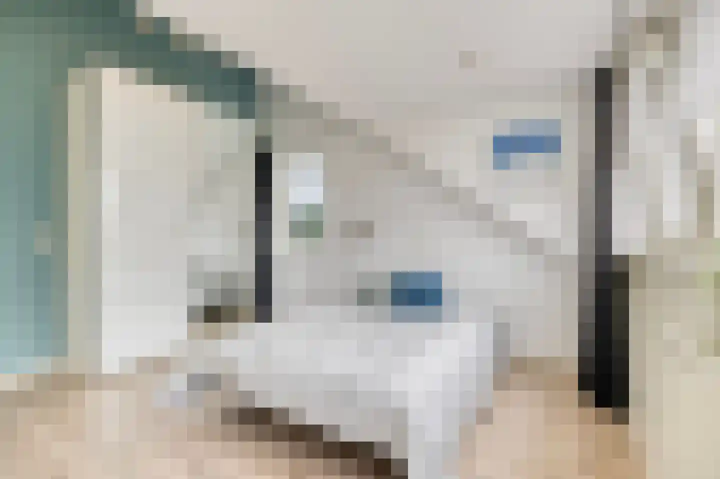 Lepelaarstraat 9 Alkmaar thumbnail 40