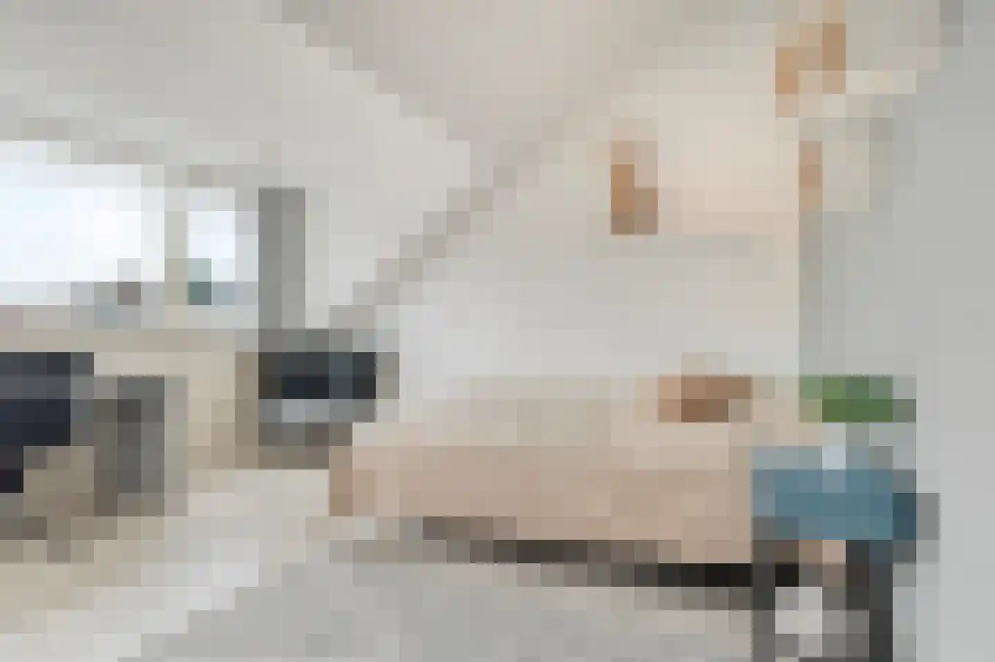 Lepelaarstraat 9 Alkmaar thumbnail 41