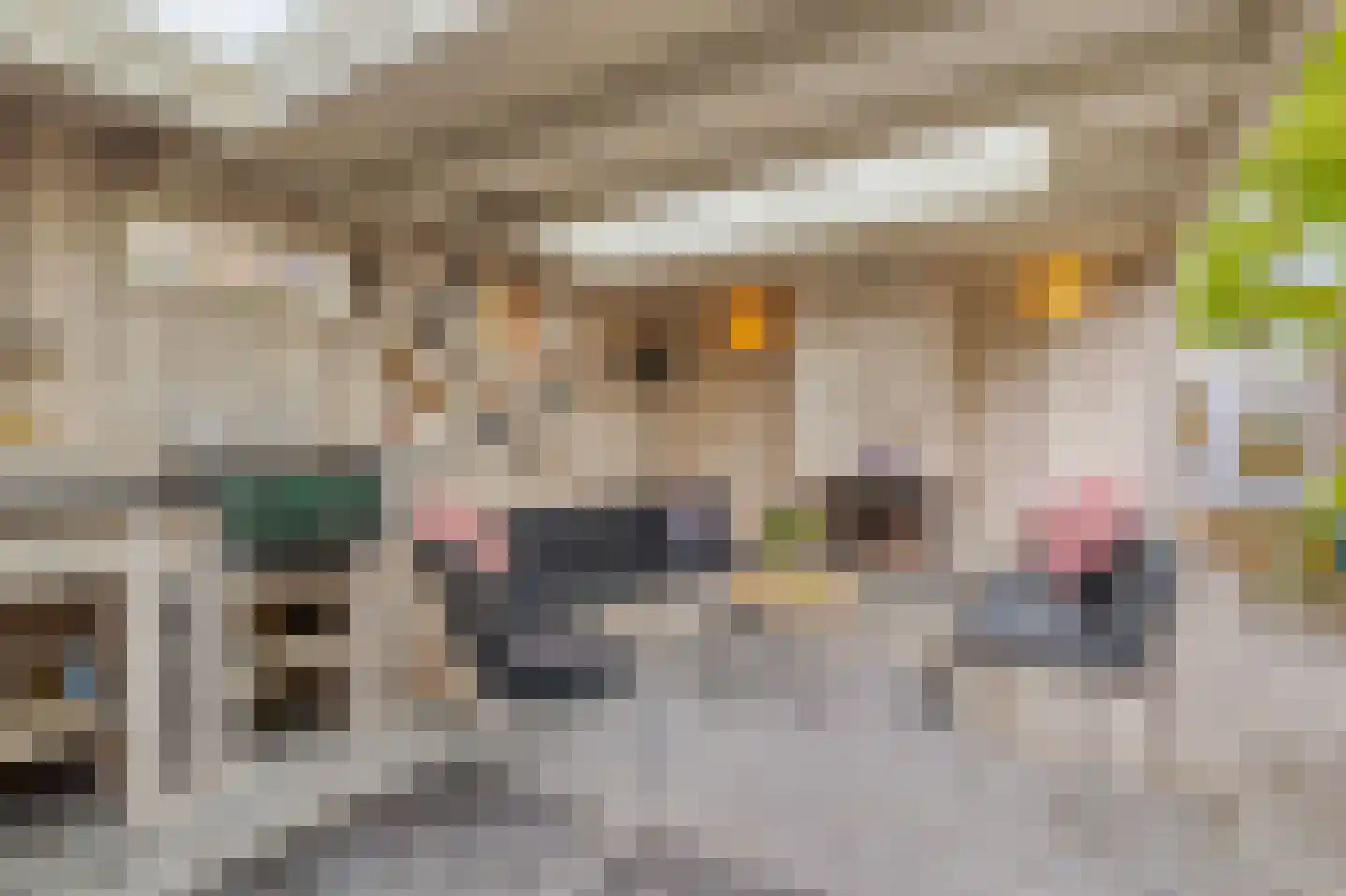 Lepelaarstraat 9 Alkmaar thumbnail 47