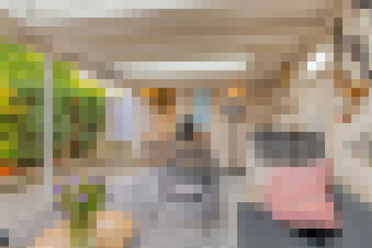 Lepelaarstraat 9 Alkmaar thumbnail 5