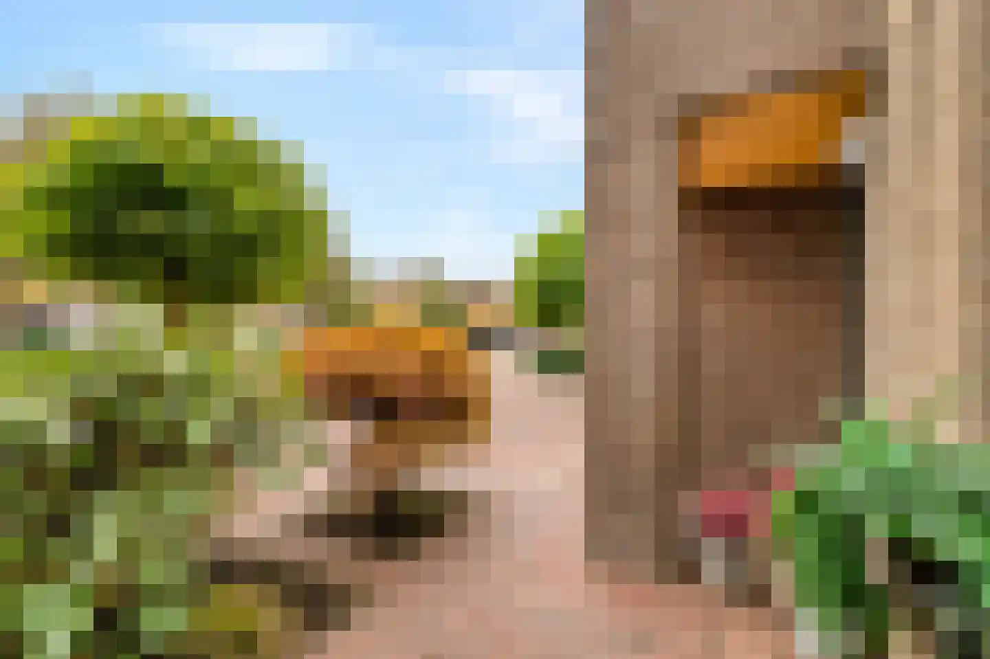 Lepelaarstraat 9 Alkmaar thumbnail 8