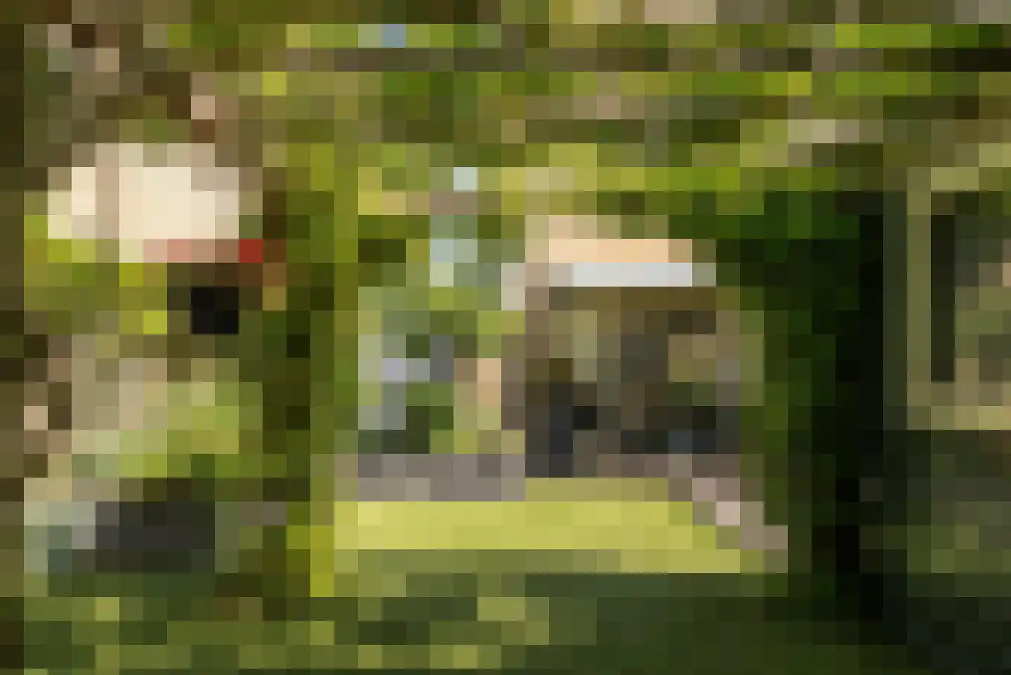 Lepelaarstraat 90 Heerenveen thumbnail 34