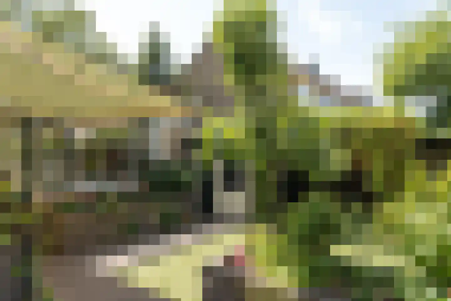 Lepelaarstraat 90 Heerenveen thumbnail 35