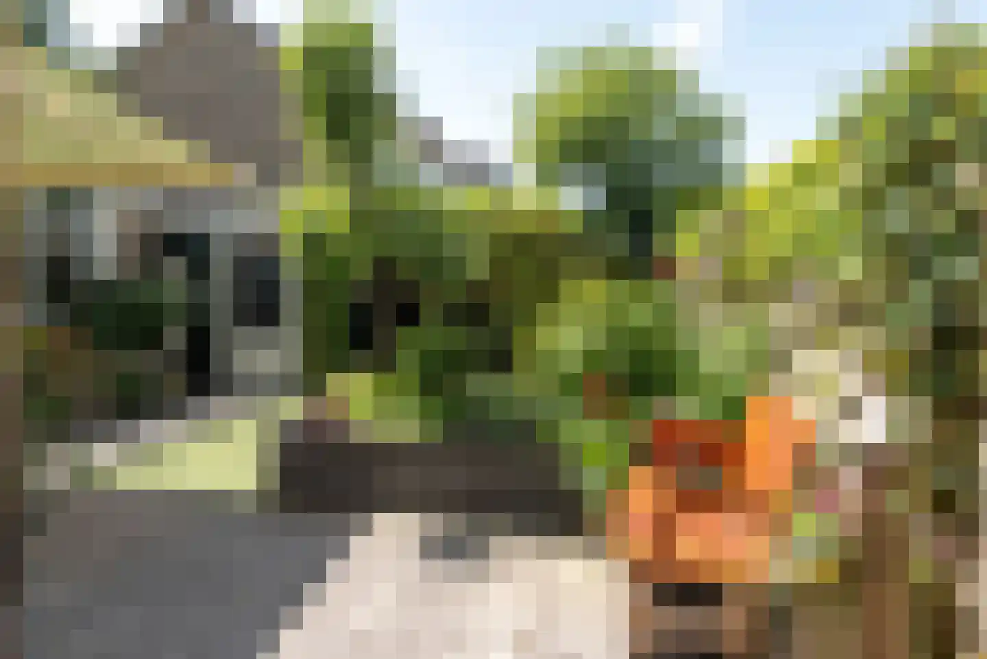 Lepelaarstraat 90 Heerenveen thumbnail 36