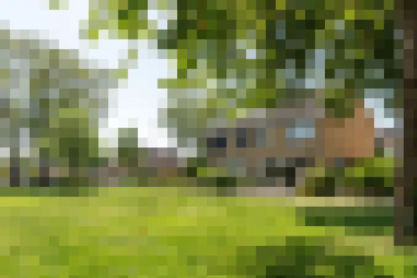 Lepelaarstraat 90 Heerenveen thumbnail 49