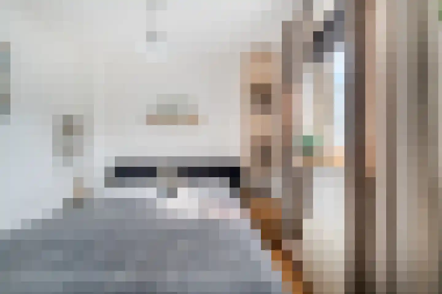 Lepelaarsweg 3 Callantsoog thumbnail 13
