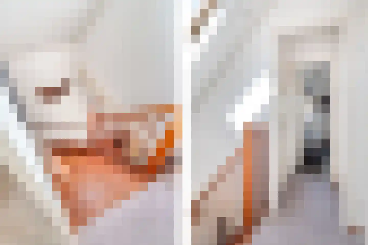 Lepelaarsweg 3 Callantsoog thumbnail 17