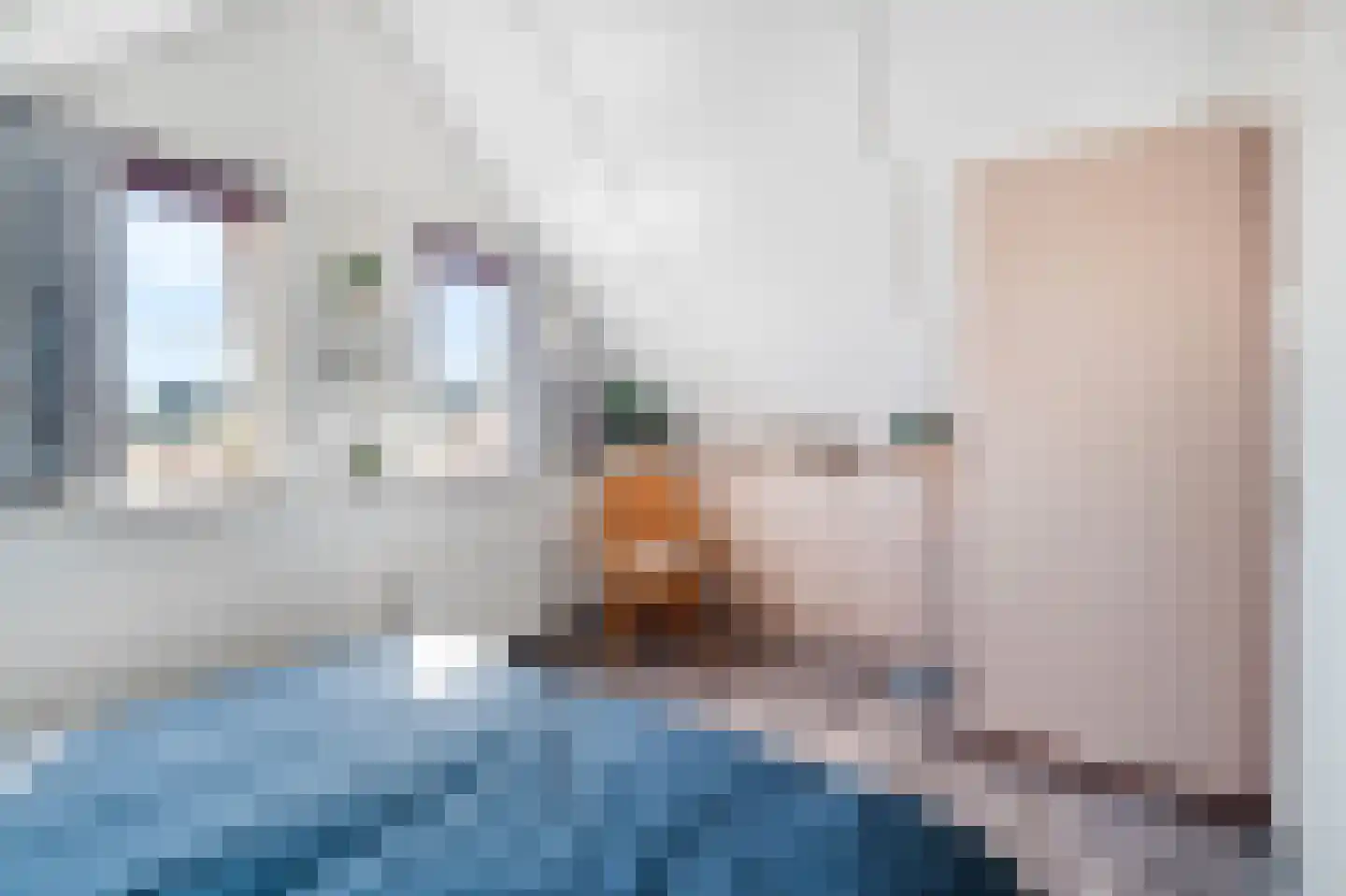 Lepelaarsweg 3 Callantsoog thumbnail 19