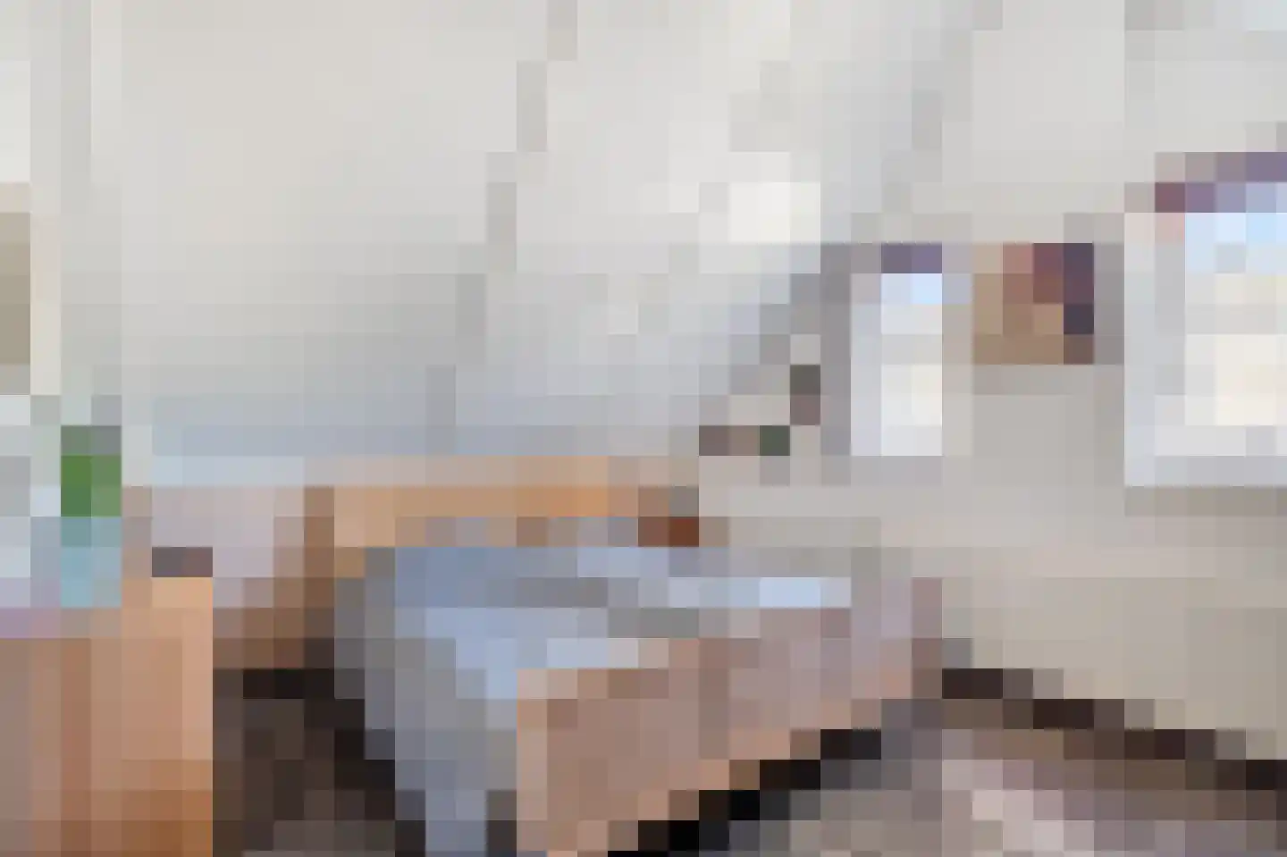 Lepelaarsweg 3 Callantsoog thumbnail 20