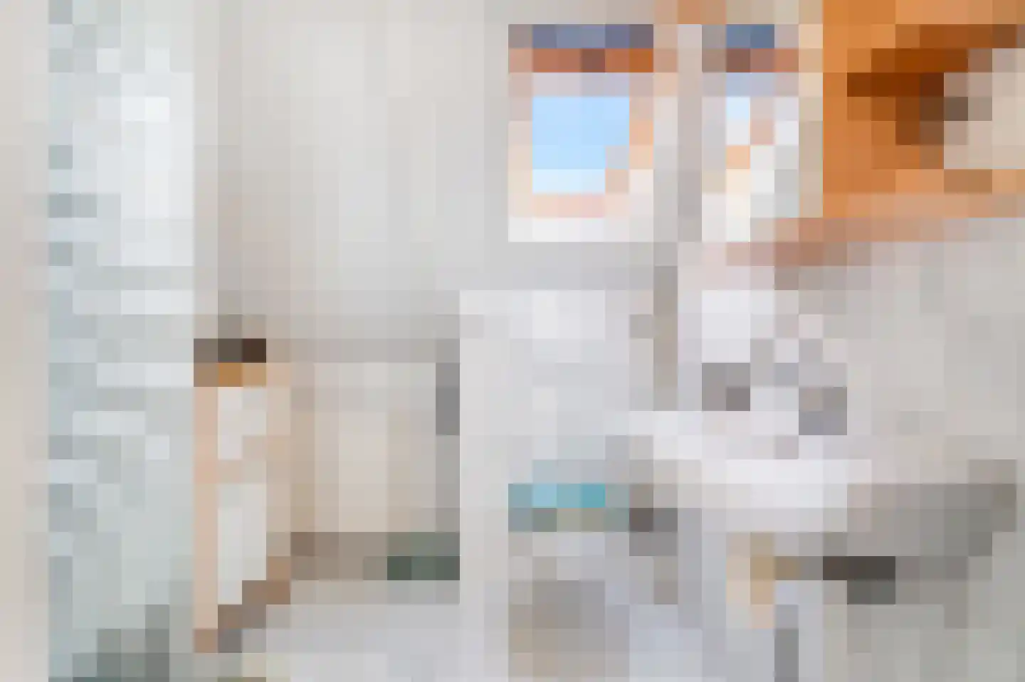 Lepelaarsweg 3 Callantsoog thumbnail 23