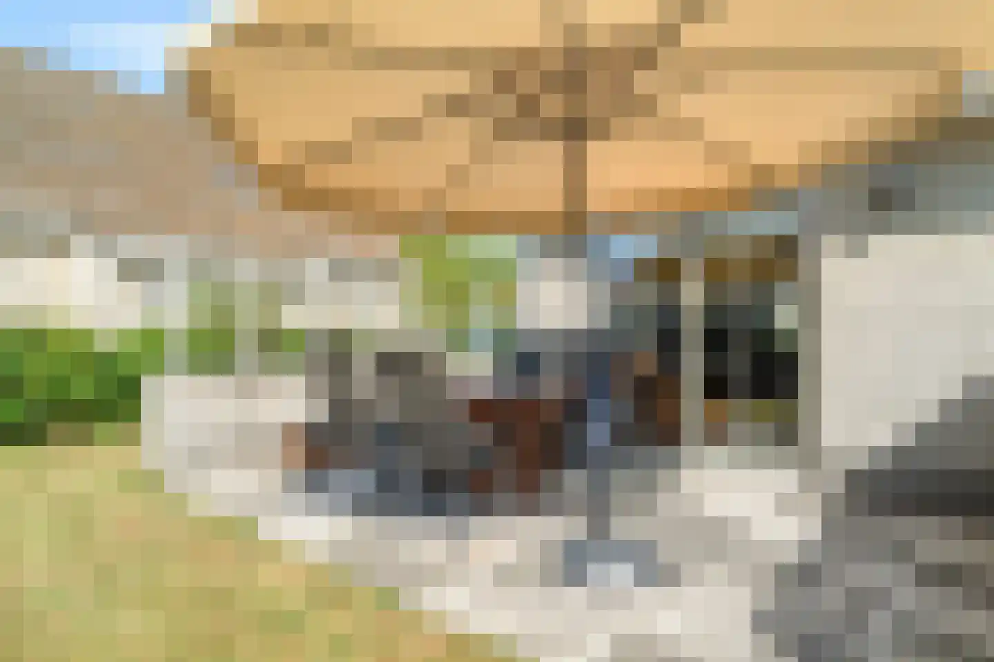 Lepelaarsweg 3 Callantsoog thumbnail 25