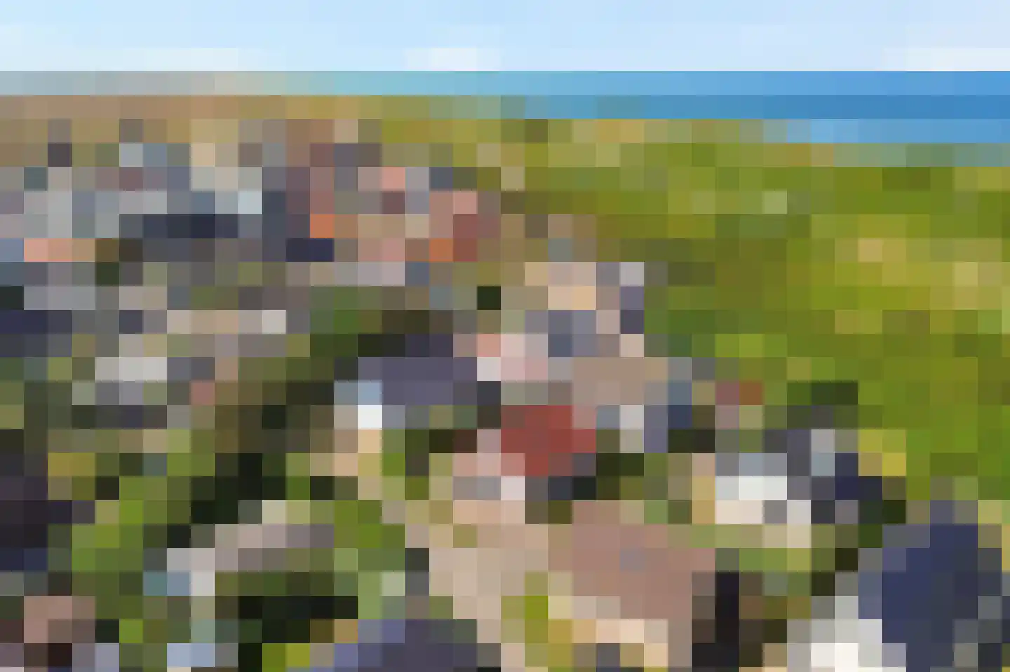 Lepelaarsweg 3 Callantsoog thumbnail 32