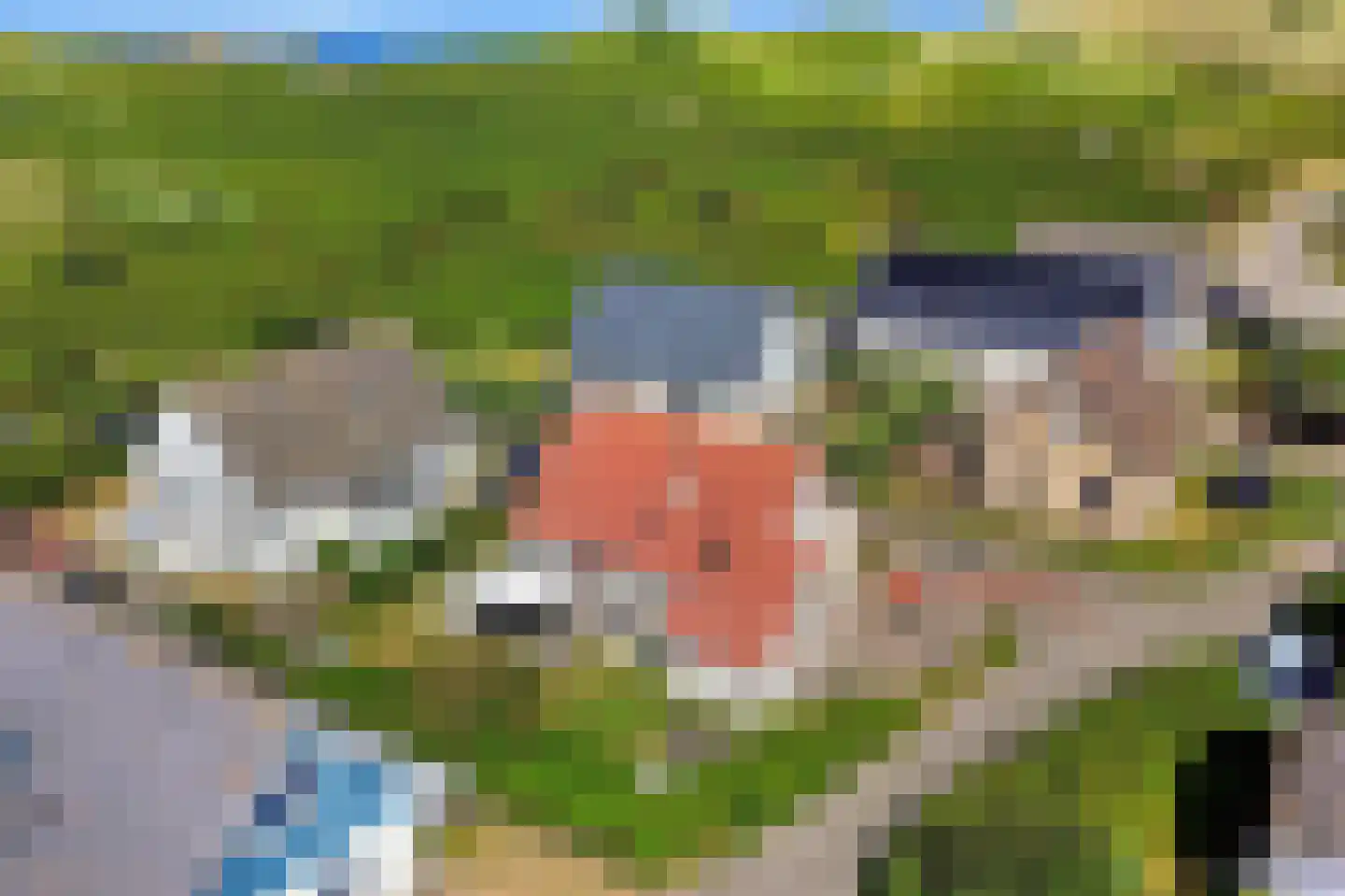 Lepelaarsweg 3 Callantsoog thumbnail 34