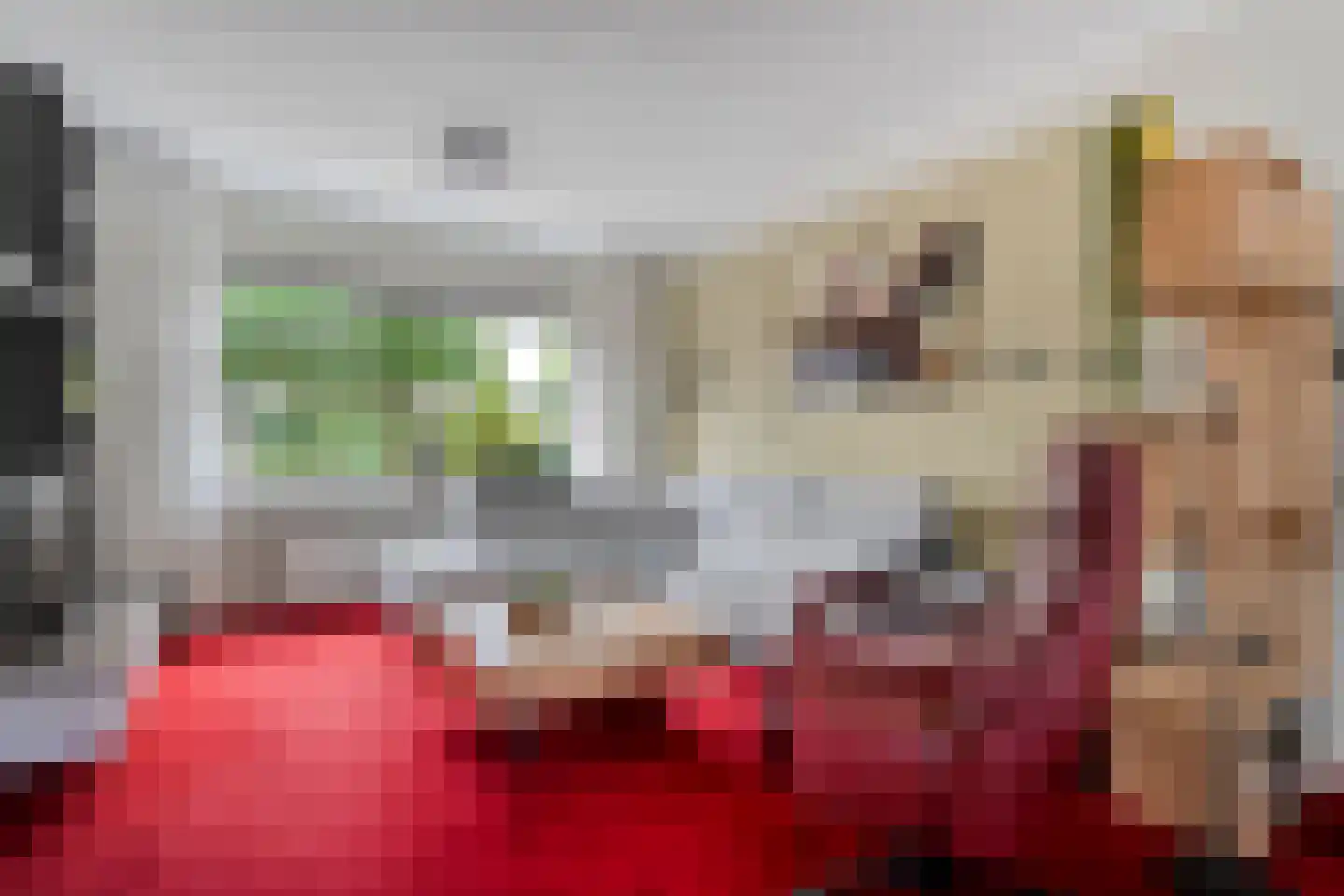 Lepelaarweg 49 Dedemsvaart thumbnail 11