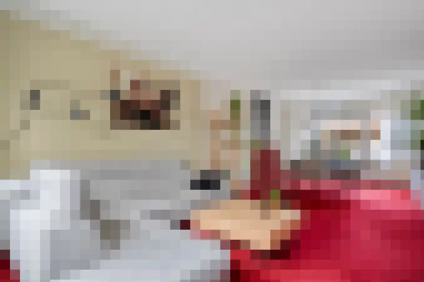 Lepelaarweg 49 Dedemsvaart thumbnail 12