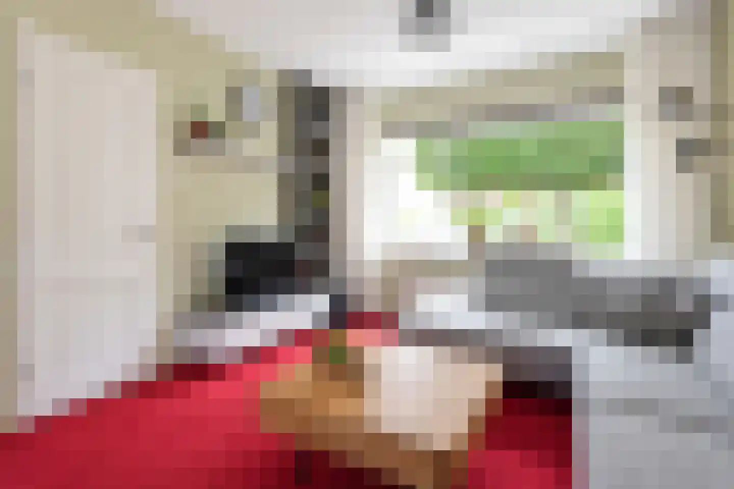Lepelaarweg 49 Dedemsvaart thumbnail 13