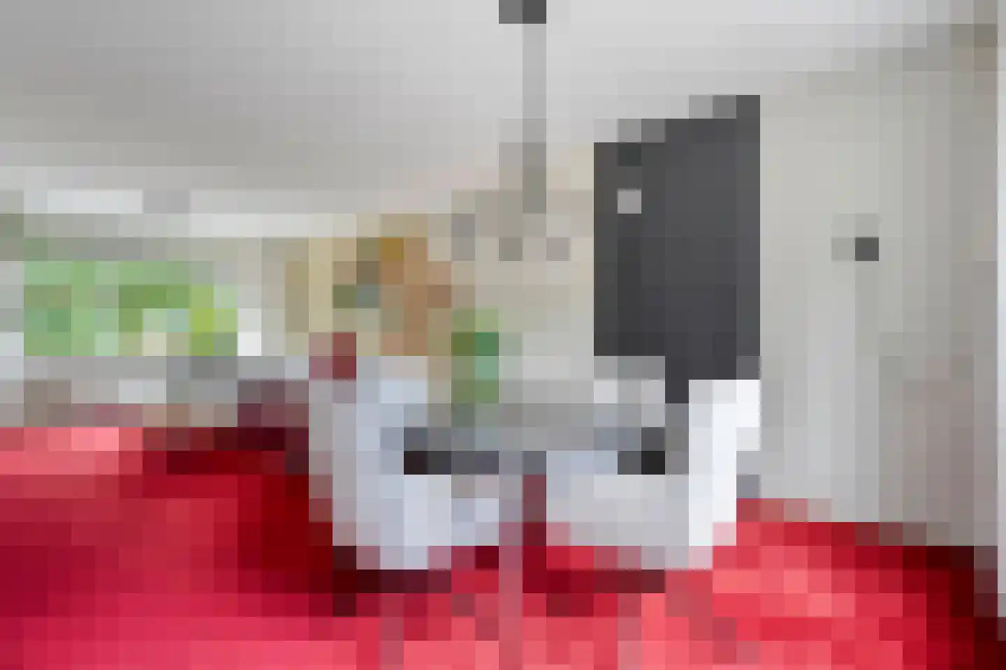 Lepelaarweg 49 Dedemsvaart thumbnail 16