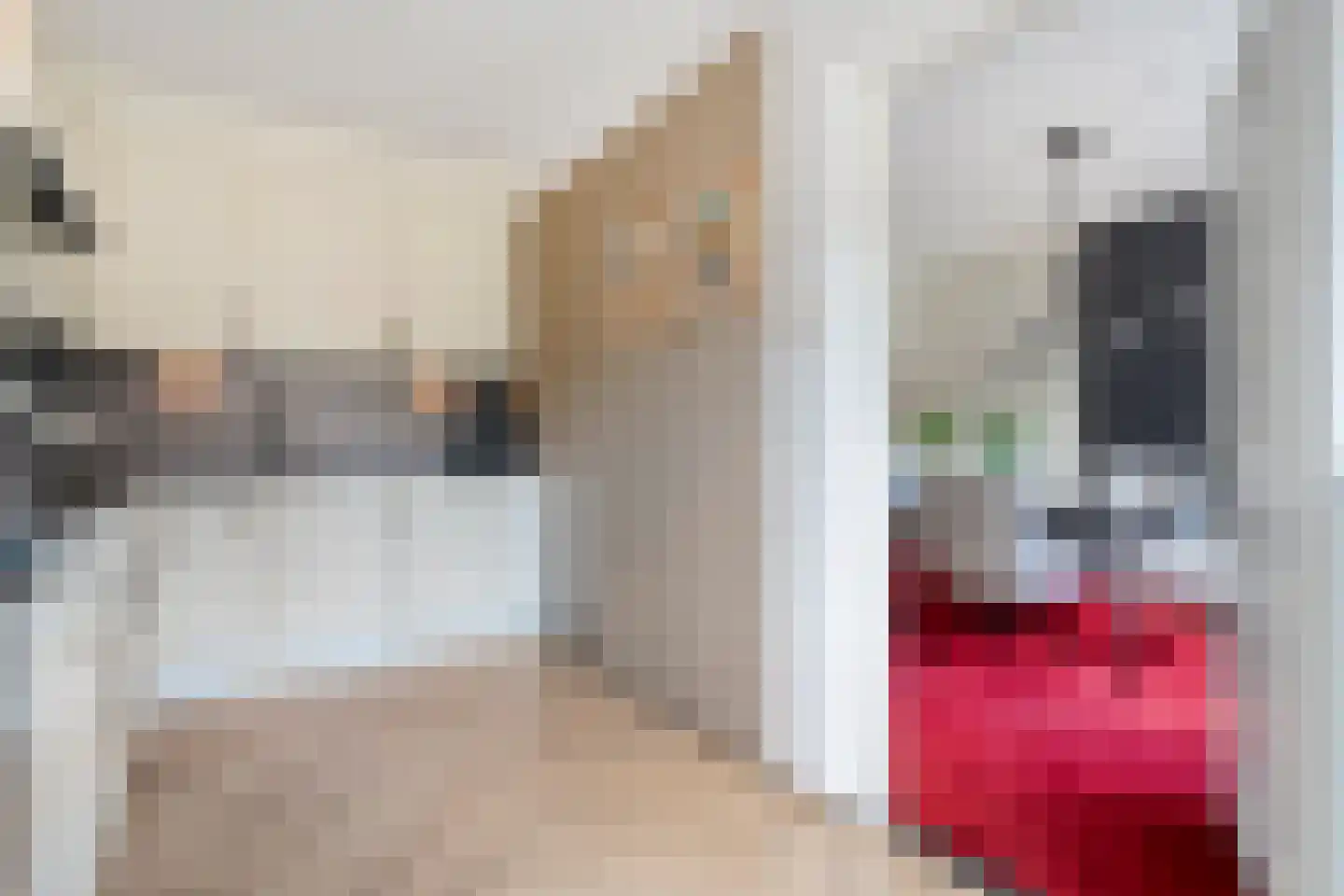 Lepelaarweg 49 Dedemsvaart thumbnail 17
