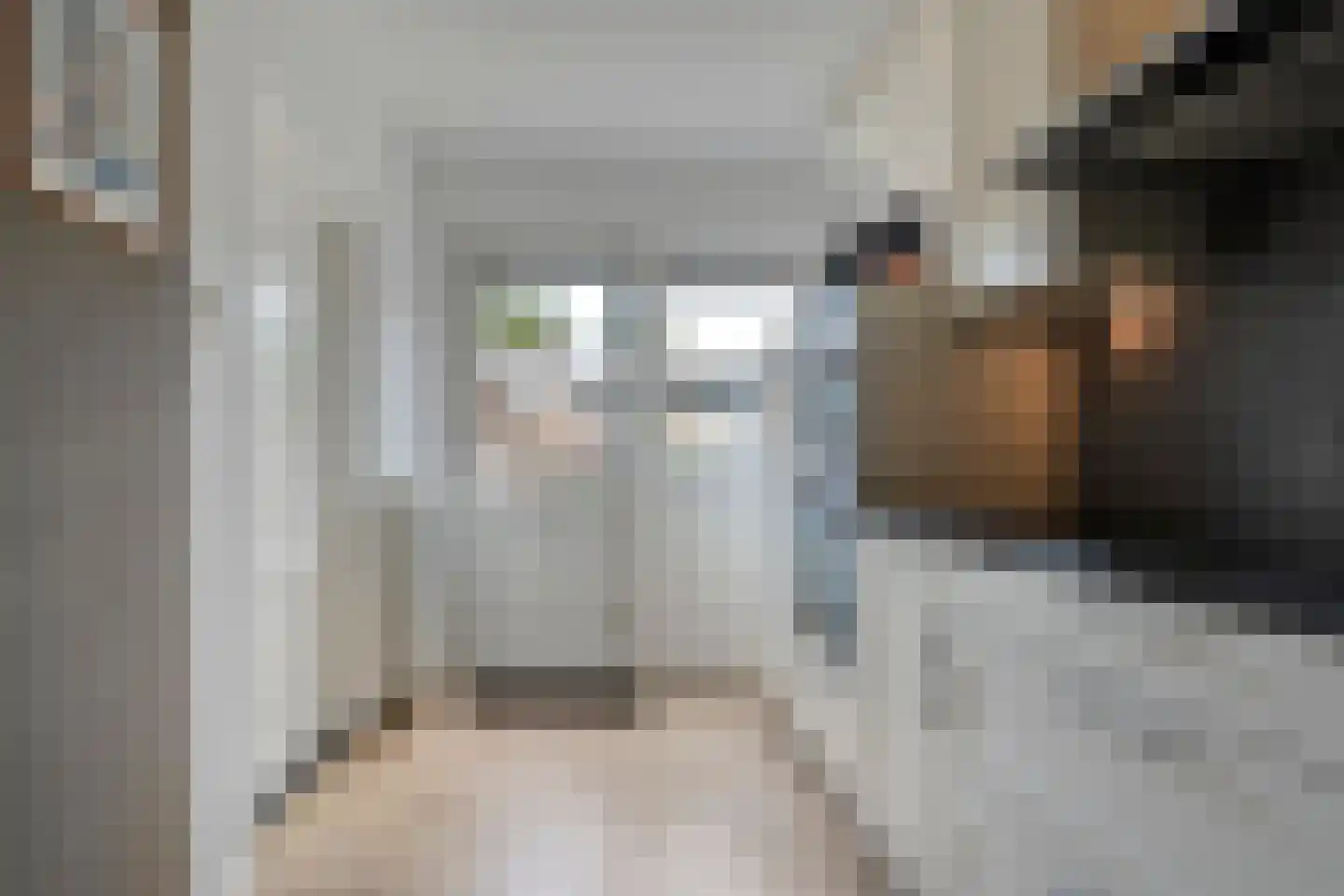 Lepelaarweg 49 Dedemsvaart thumbnail 20