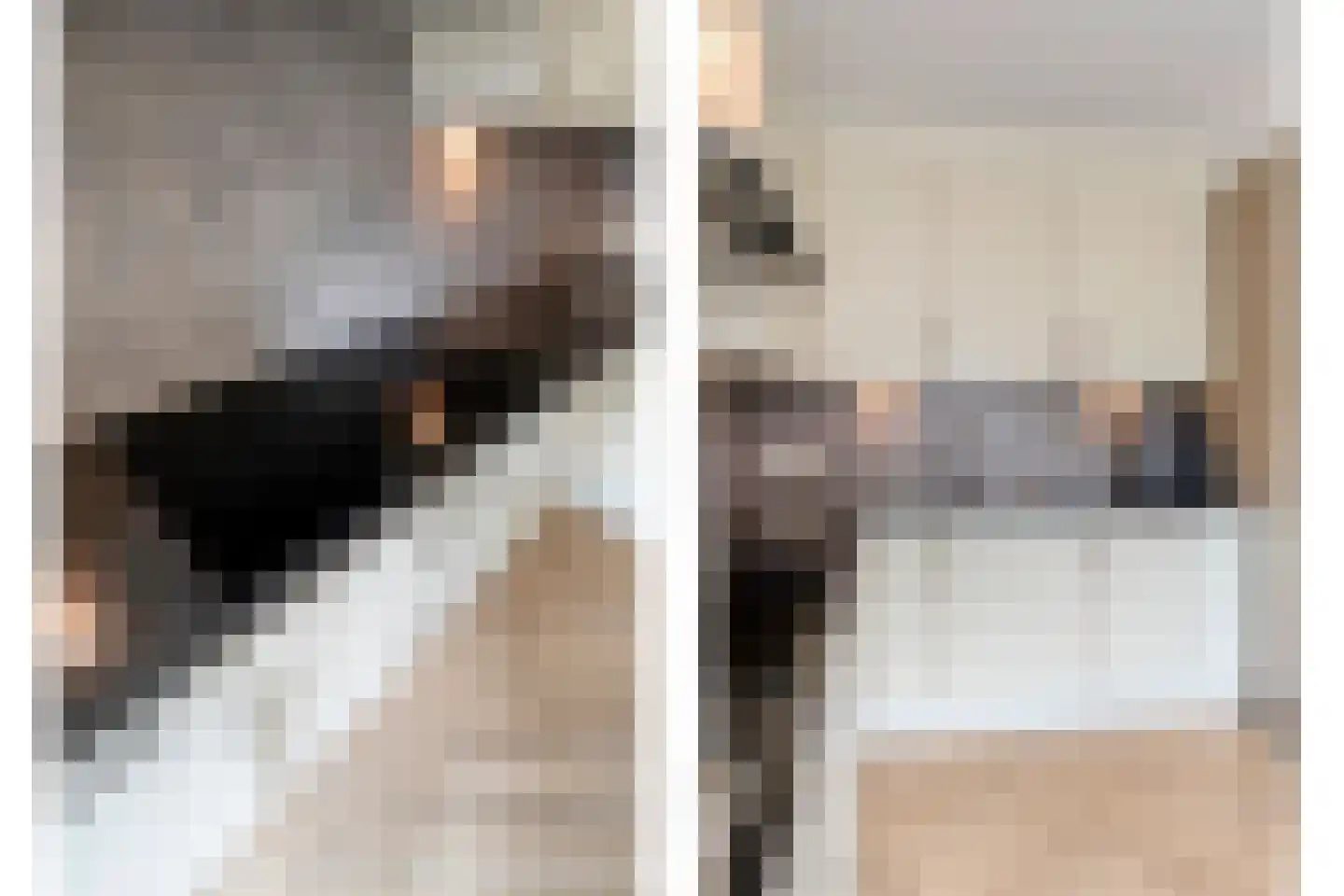 Lepelaarweg 49 Dedemsvaart thumbnail 21