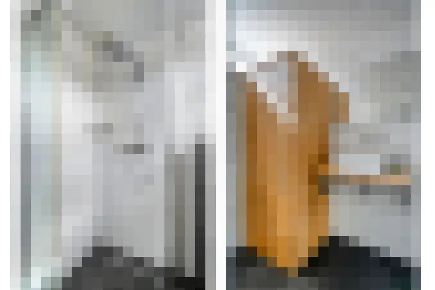 Lepelaarweg 49 Dedemsvaart thumbnail 31
