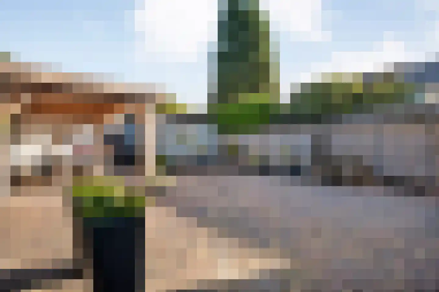 Lepelaarweg 49 Dedemsvaart thumbnail 39