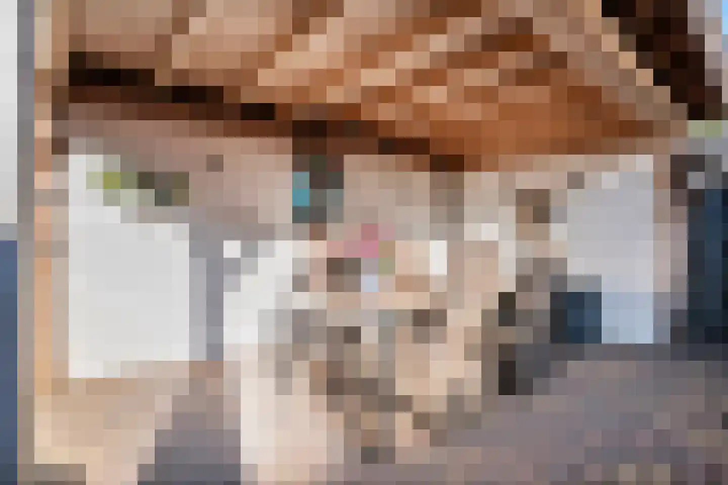 Lepelaarweg 49 Dedemsvaart thumbnail 41