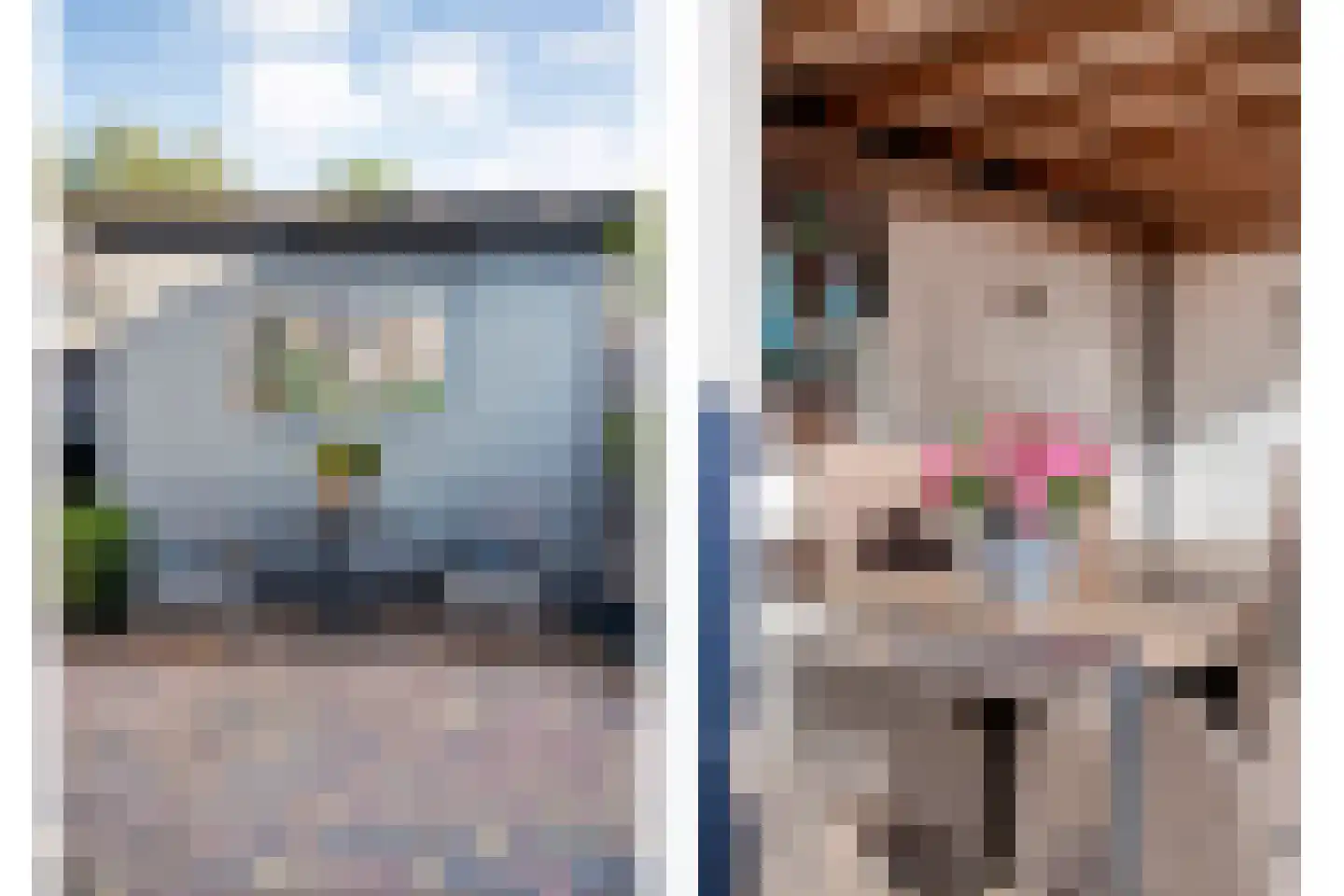 Lepelaarweg 49 Dedemsvaart thumbnail 43