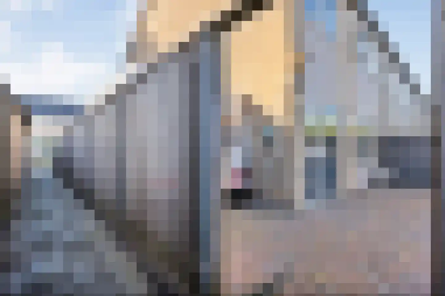 Lepelaarweg 49 Dedemsvaart thumbnail 44