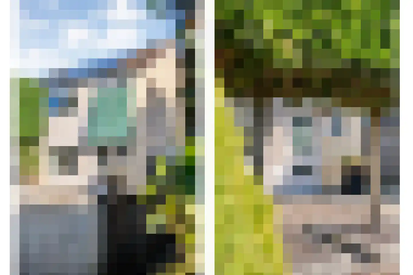 Lepelaarweg 49 Dedemsvaart thumbnail 8