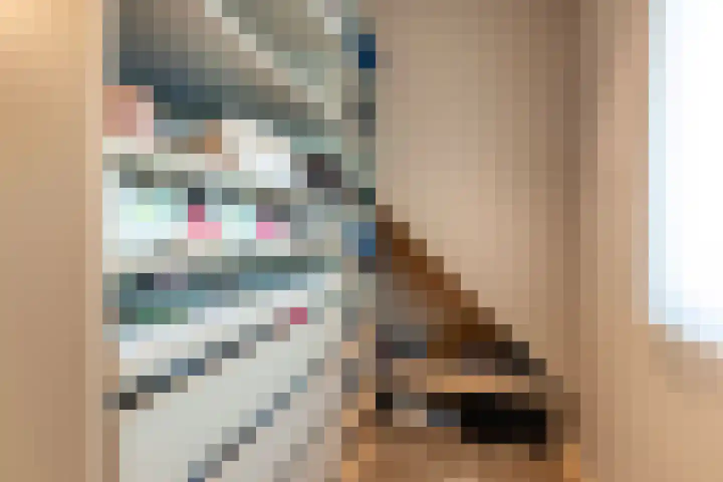 Lepelaarweg 5 Apeldoorn thumbnail 16