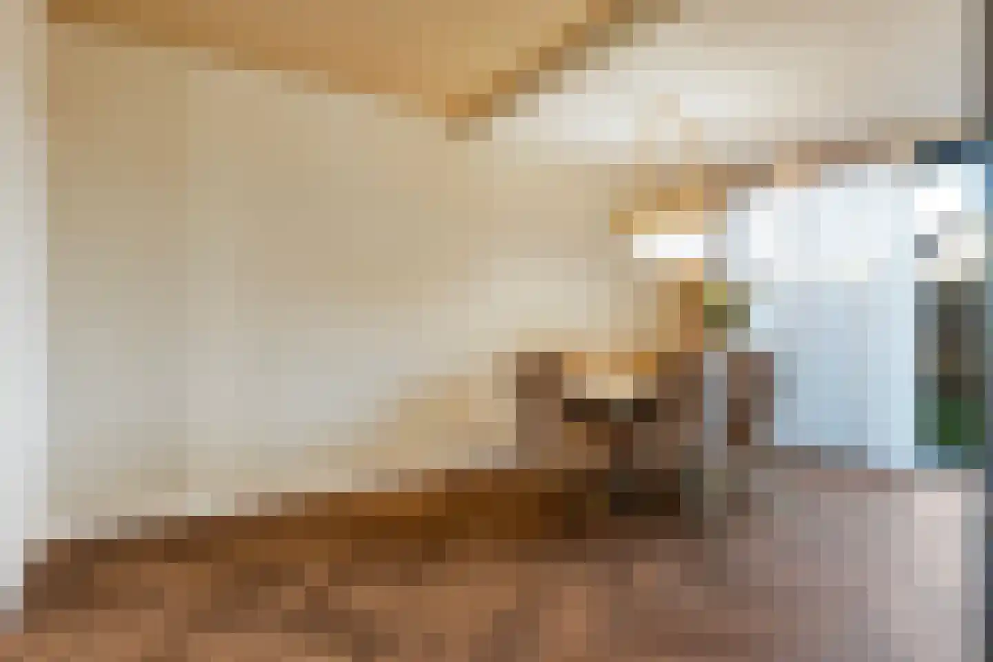 Lepelaarweg 5 Apeldoorn thumbnail 8