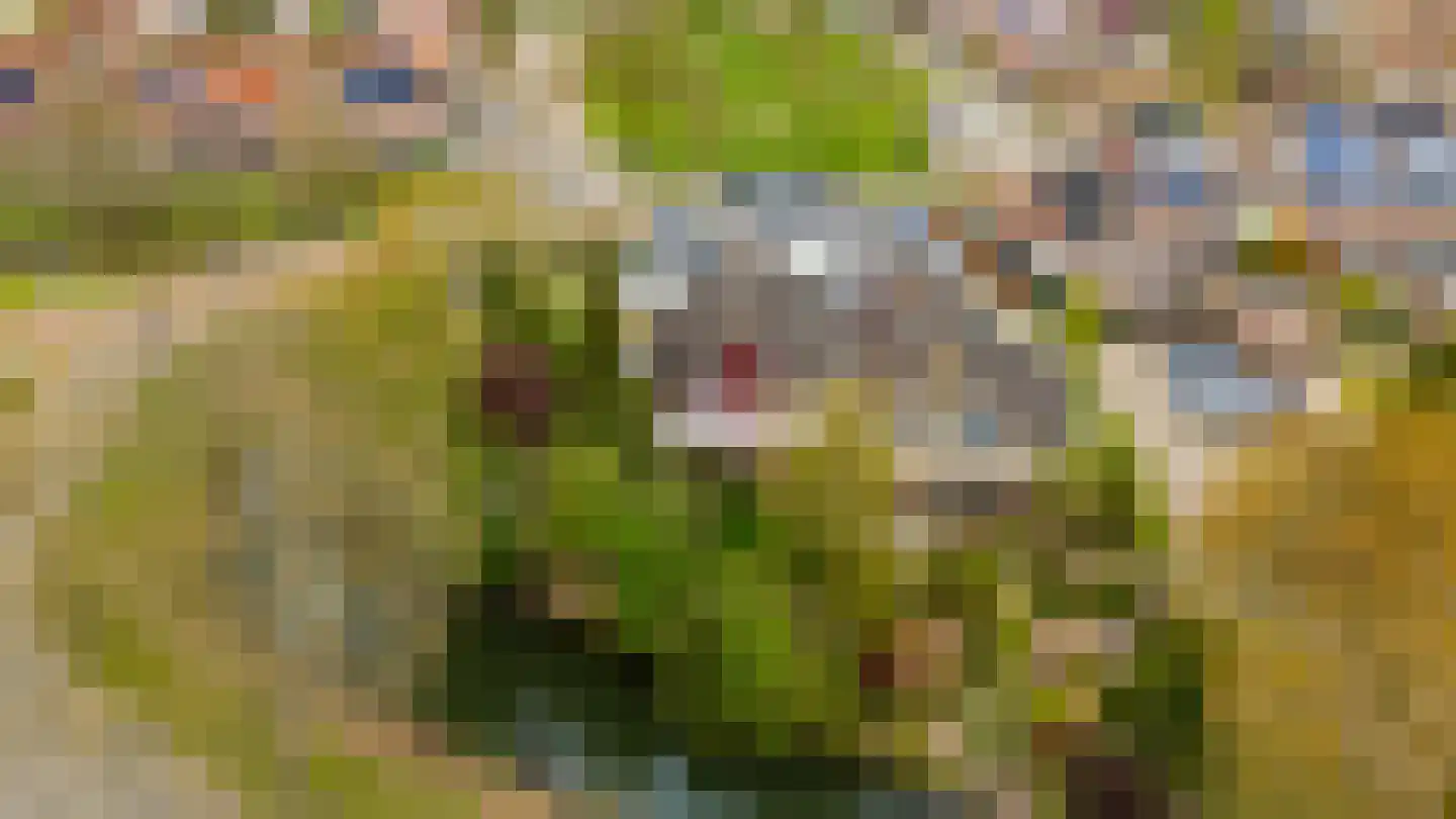 Lepelaarweide 3 Houten thumbnail 4
