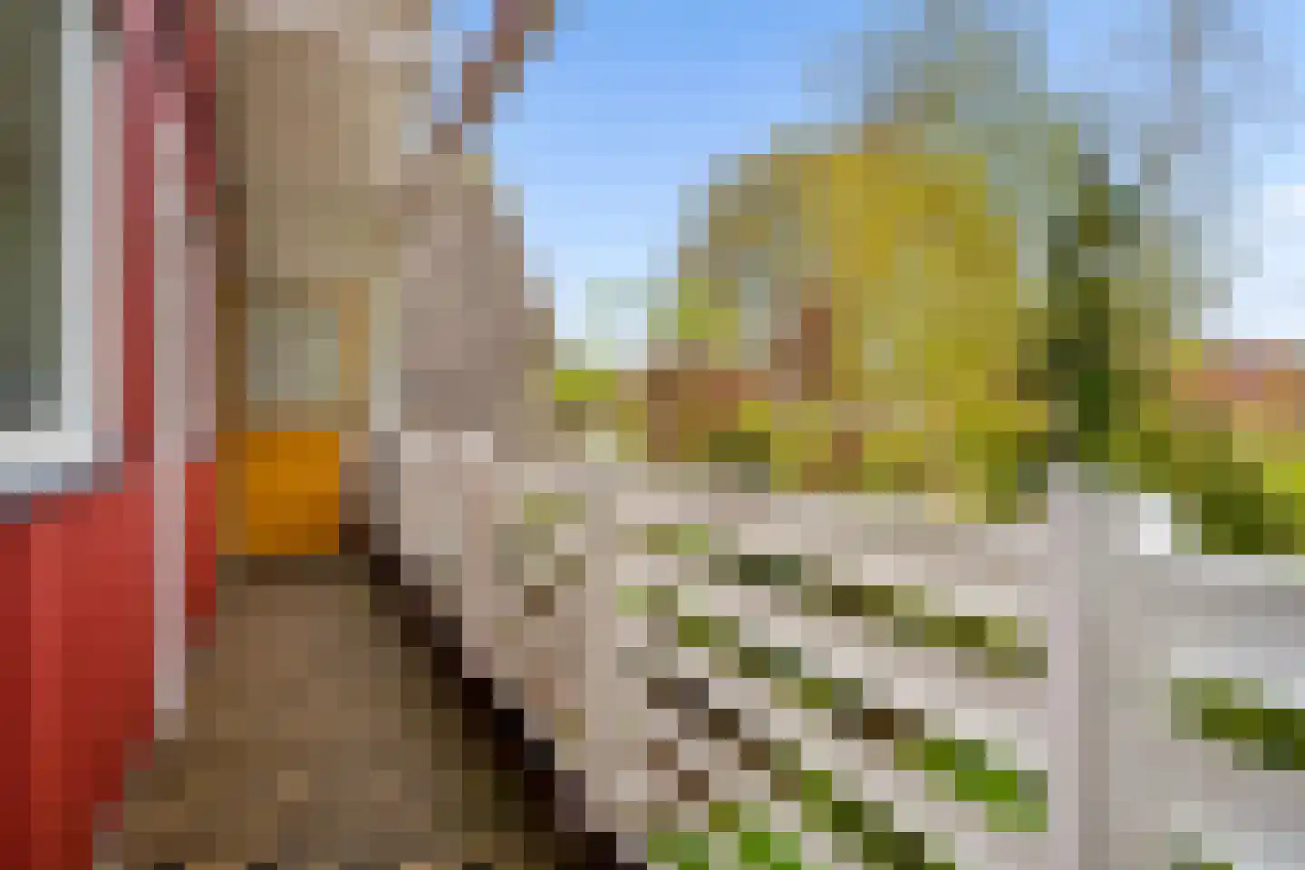 Lepelaarweide 3 Houten thumbnail 49