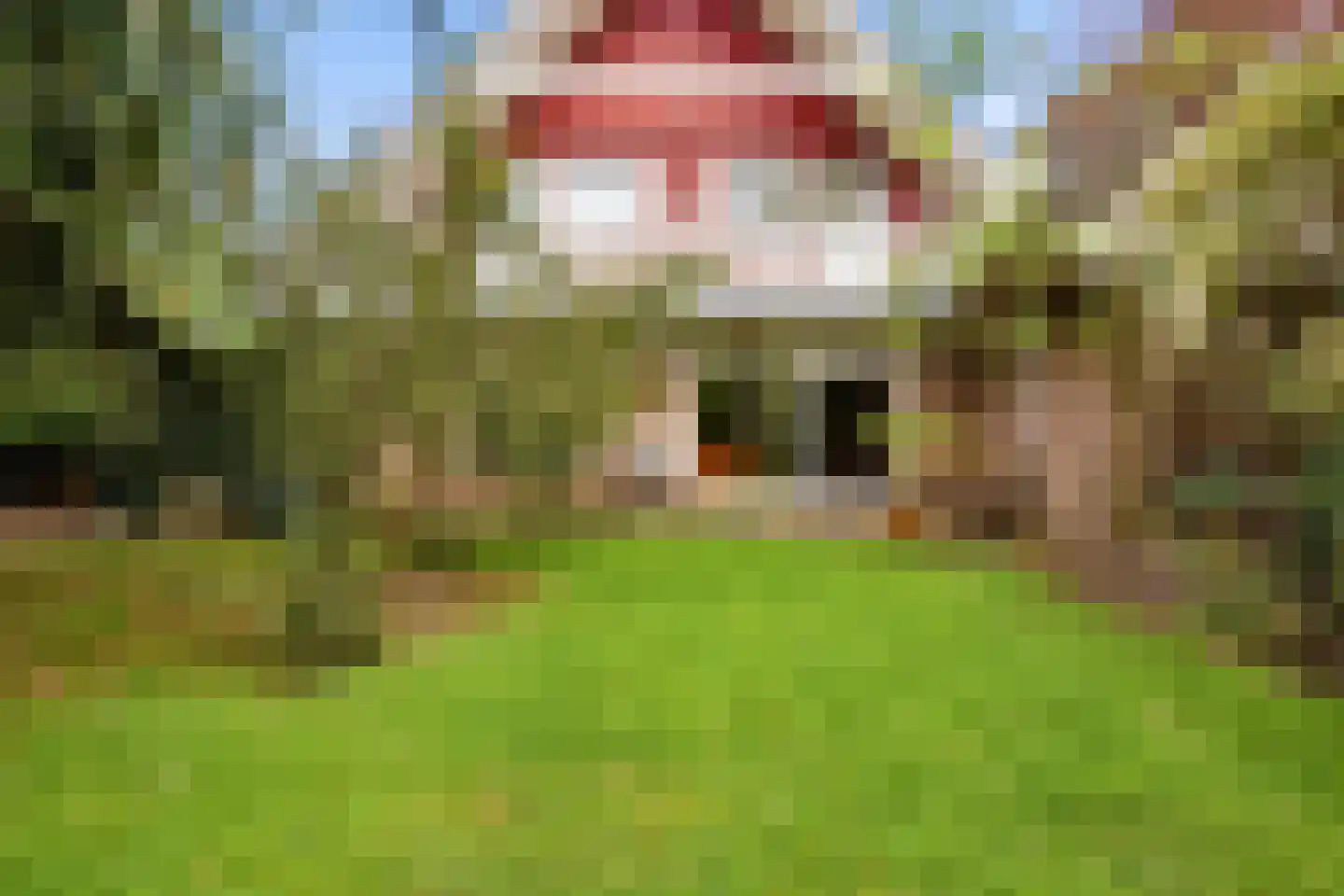 Lepelaarweide 3 Houten thumbnail 52