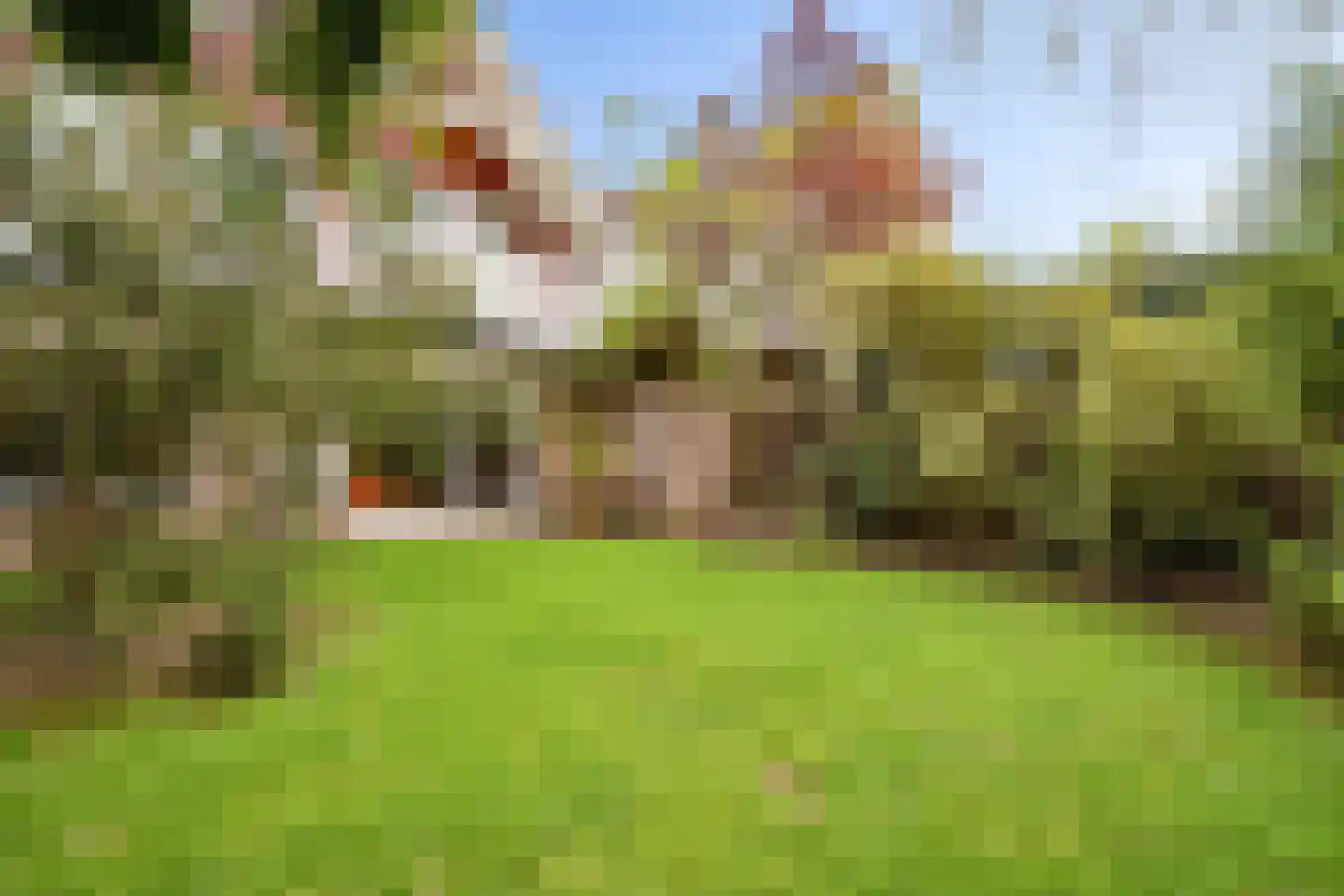 Lepelaarweide 3 Houten thumbnail 53